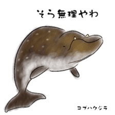 LOOSE WHALES sticker #649567