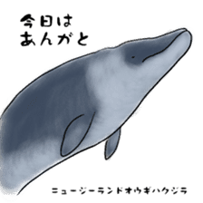 LOOSE WHALES sticker #649573