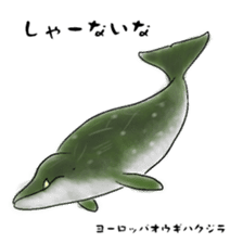 LOOSE WHALES sticker #649574