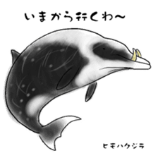 LOOSE WHALES sticker #649575