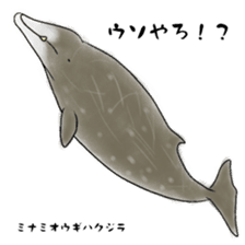 LOOSE WHALES sticker #649580