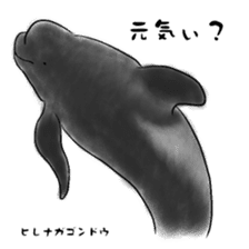 LOOSE WHALES sticker #649583
