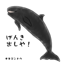 LOOSE WHALES sticker #649584