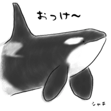 LOOSE WHALES sticker #649585