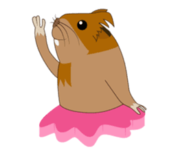 Jimmy - the crazy guinea pig sticker #650511