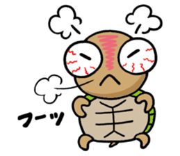 kamekichi the turtle sticker #651358