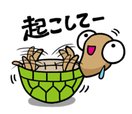 kamekichi the turtle sticker #651374