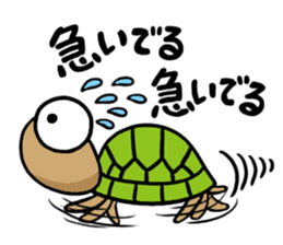 kamekichi the turtle sticker #651375