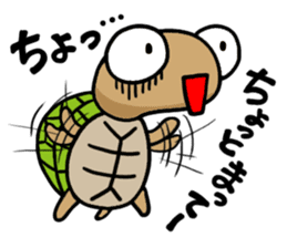 kamekichi the turtle sticker #651376
