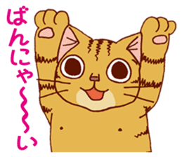 laid-back cat Chi-chan vol.2 sticker #651962