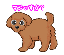 Toy poodles will heal(Japanese) sticker #652434