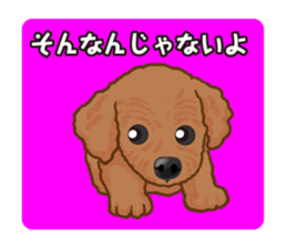 Toy poodles will heal(Japanese) sticker #652436