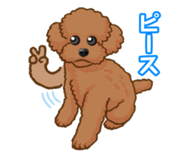 Toy poodles will heal(Japanese) sticker #652446