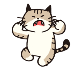 Pouch the cat 3 sticker #653138