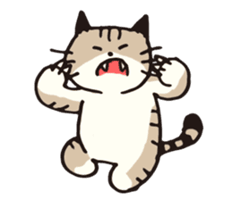 Pouch the cat 3 sticker #653138