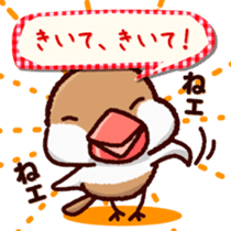Chat with Java sparrow's sticker #653867