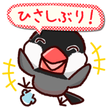 Chat with Java sparrow's sticker #653876