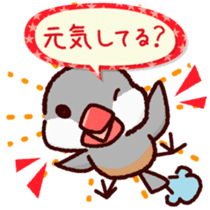 Chat with Java sparrow's sticker #653877
