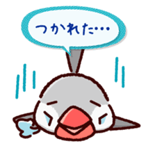 Chat with Java sparrow's sticker #653878