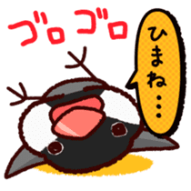 Chat with Java sparrow's sticker #653891