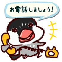 Chat with Java sparrow's sticker #653893