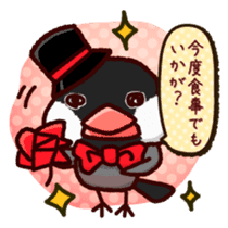 Chat with Java sparrow's sticker #653896