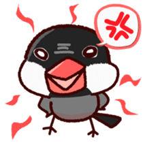 Chat with Java sparrow's sticker #653899