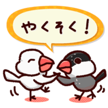 Chat with Java sparrow's sticker #653901