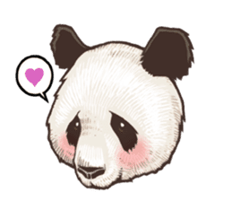 Humorous panda "Mr.Bendell" sticker #656311