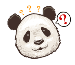Humorous panda "Mr.Bendell" sticker #656314
