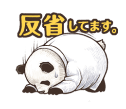 Humorous panda "Mr.Bendell" sticker #656321