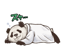 Humorous panda "Mr.Bendell" sticker #656324