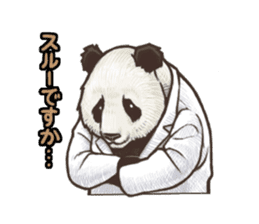 Humorous panda "Mr.Bendell" sticker #656330