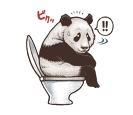 Humorous panda "Mr.Bendell" sticker #656336