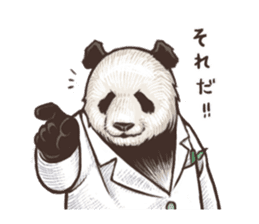 Humorous panda "Mr.Bendell" sticker #656339