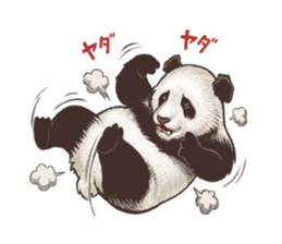 Humorous panda "Mr.Bendell" sticker #656340