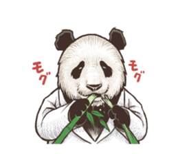 Humorous panda "Mr.Bendell" sticker #656341