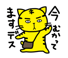 TORA-NECO "tiger or cat" sticker #657229