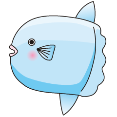 Ocean sunfish Mola