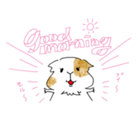 Guinea pigs sticker #661706