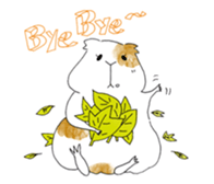 Guinea pigs sticker #661708