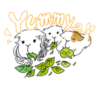 Guinea pigs sticker #661717