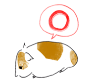 Guinea pigs sticker #661719