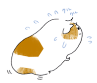 Guinea pigs sticker #661721