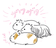 Guinea pigs sticker #661729