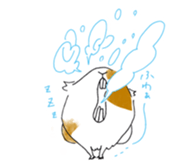 Guinea pigs sticker #661731