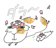 Guinea pigs sticker #661736