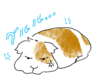 Guinea pigs sticker #661737