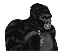 Gorilland sticker #663746
