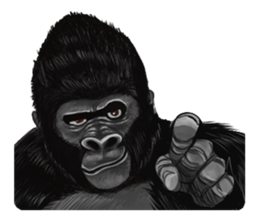 Gorilland sticker #663747